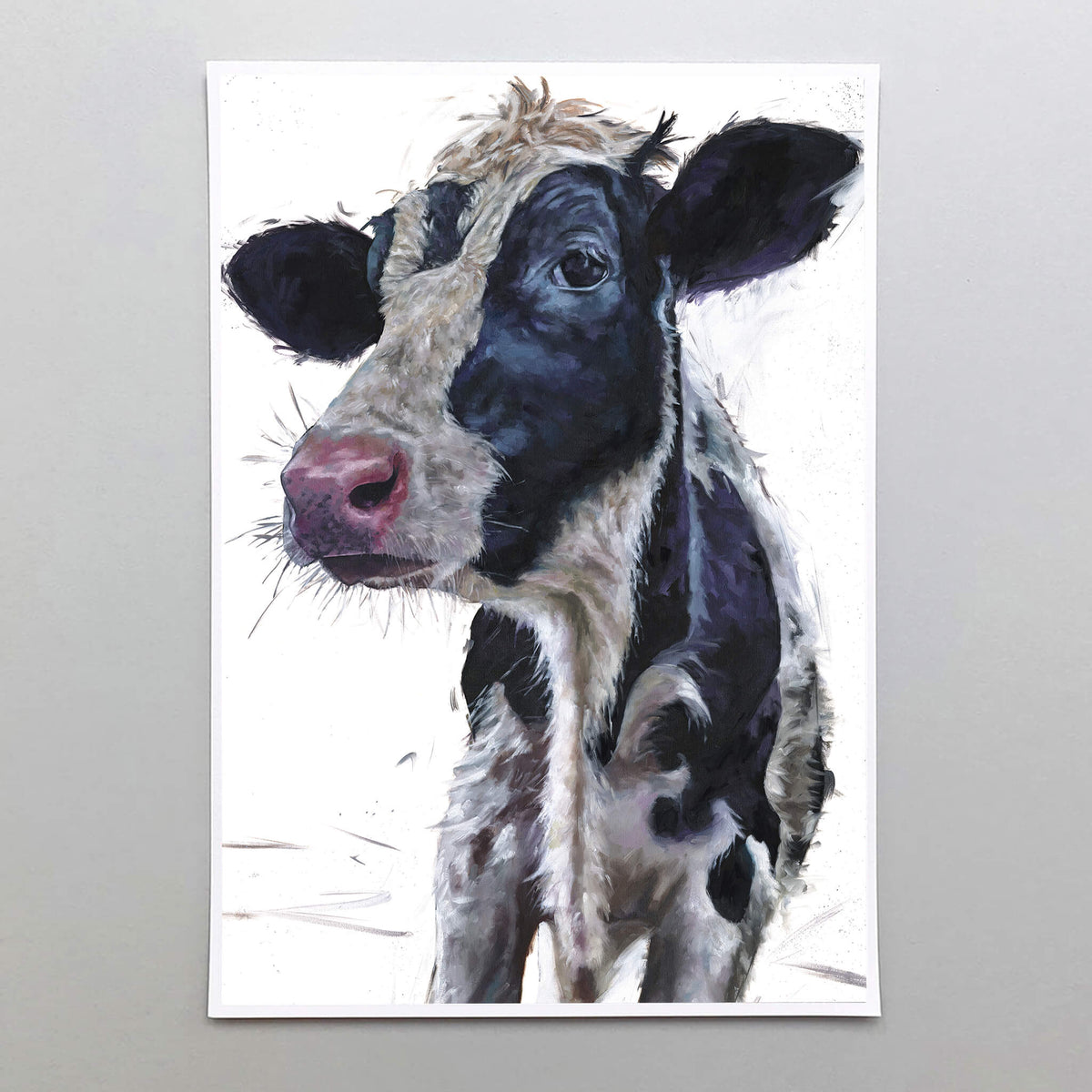 The Friesian Cow