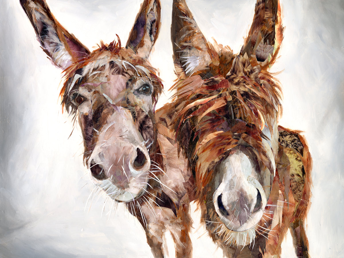 The Donkeys