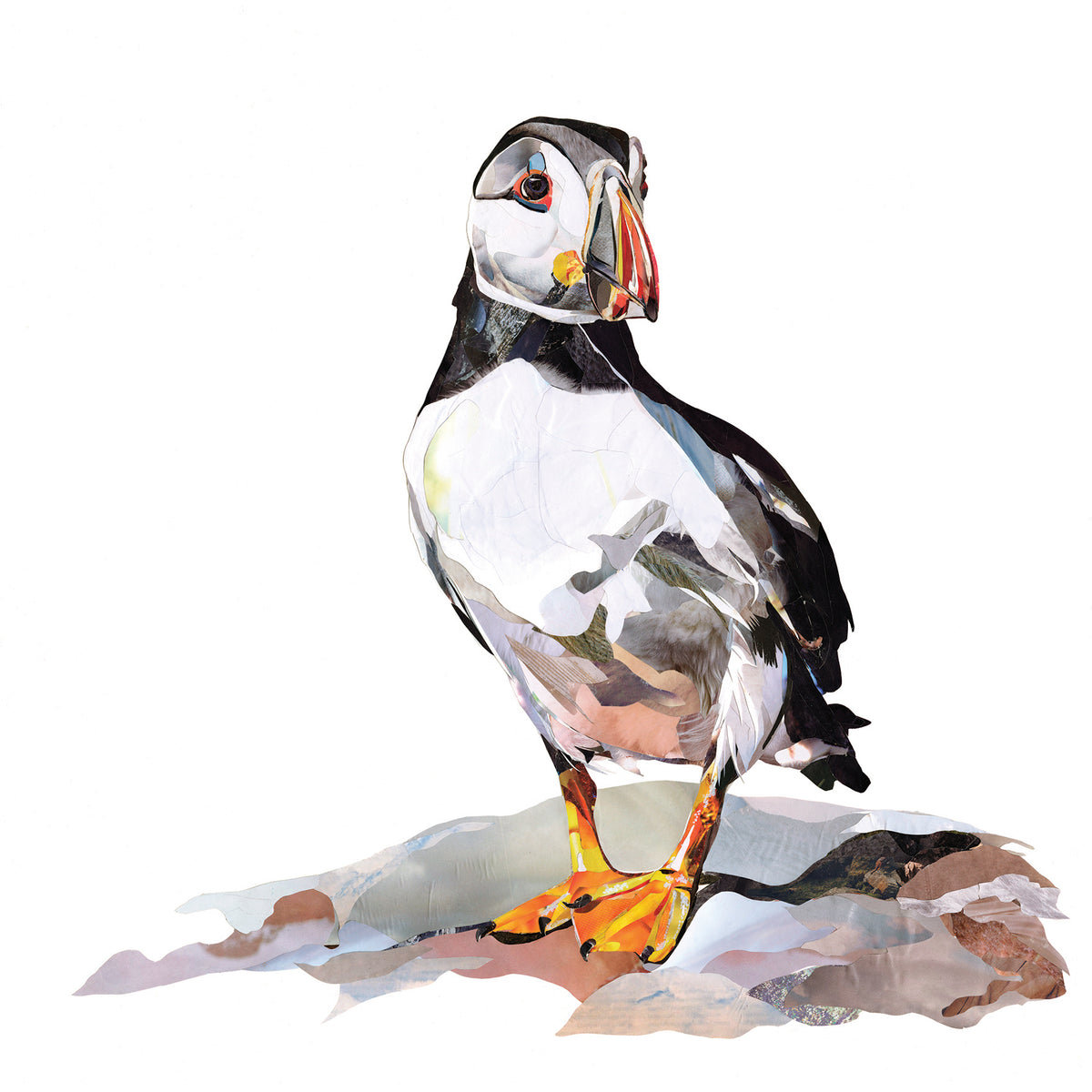 puffin-collage-artwork-Sarah-Jackson