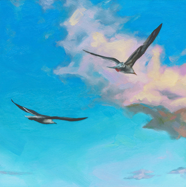 Freedom