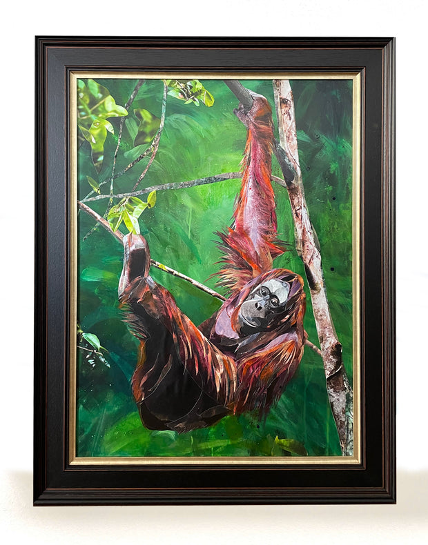 Sumatra