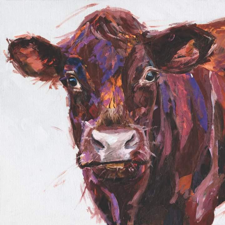 Devon-Red-Cow-artwork-Jackson-and-Young