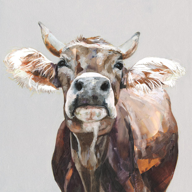 The Jersey Cow