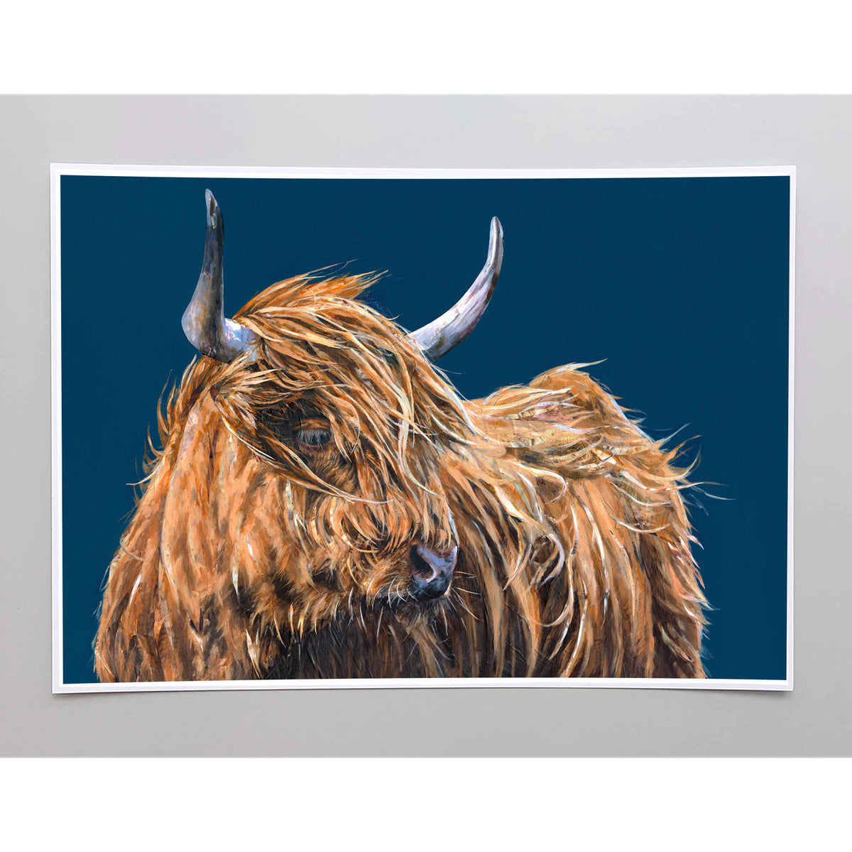 collaboration-art-of-highland-cow-jackson-and-young