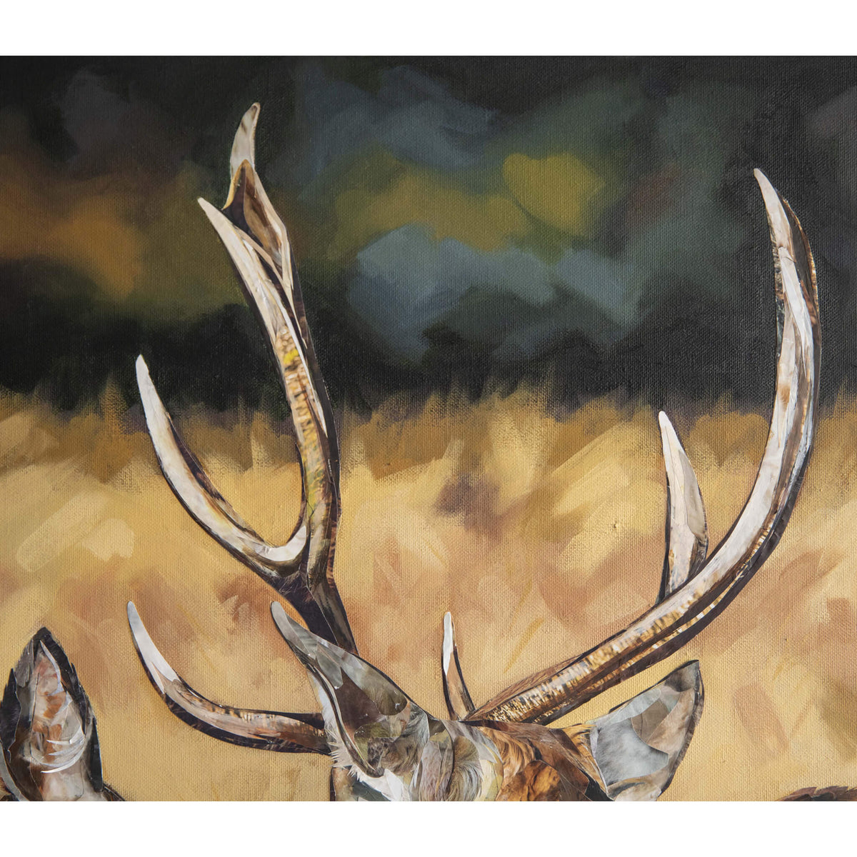 stag-deer-artwork-jackson-and-young
