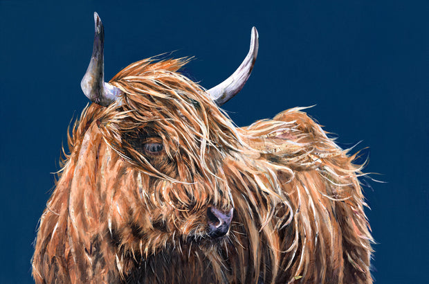 Highland-cow-artwork-collaboration-original-jackson-and-young