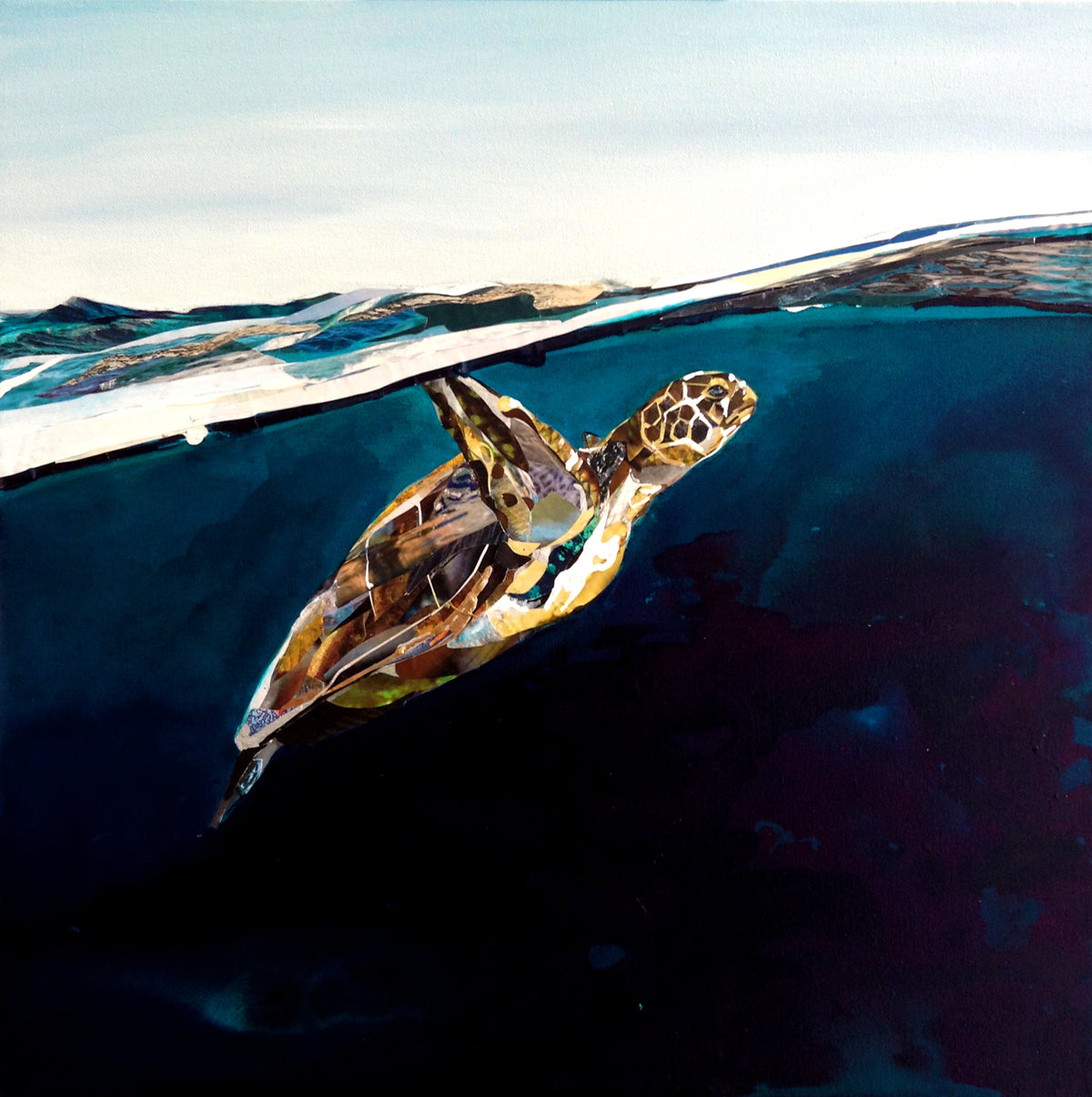 collage-art-piece-turtle-Sarah-Jackson