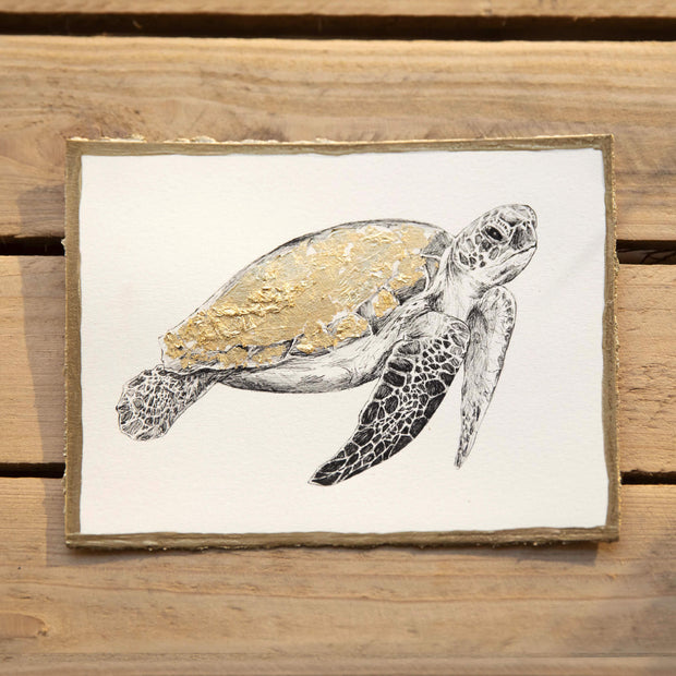 turtle-artwork-by-jackson-and-young